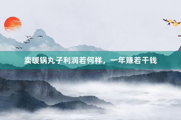 卖暖锅丸子利润若何样，一年赚若干钱